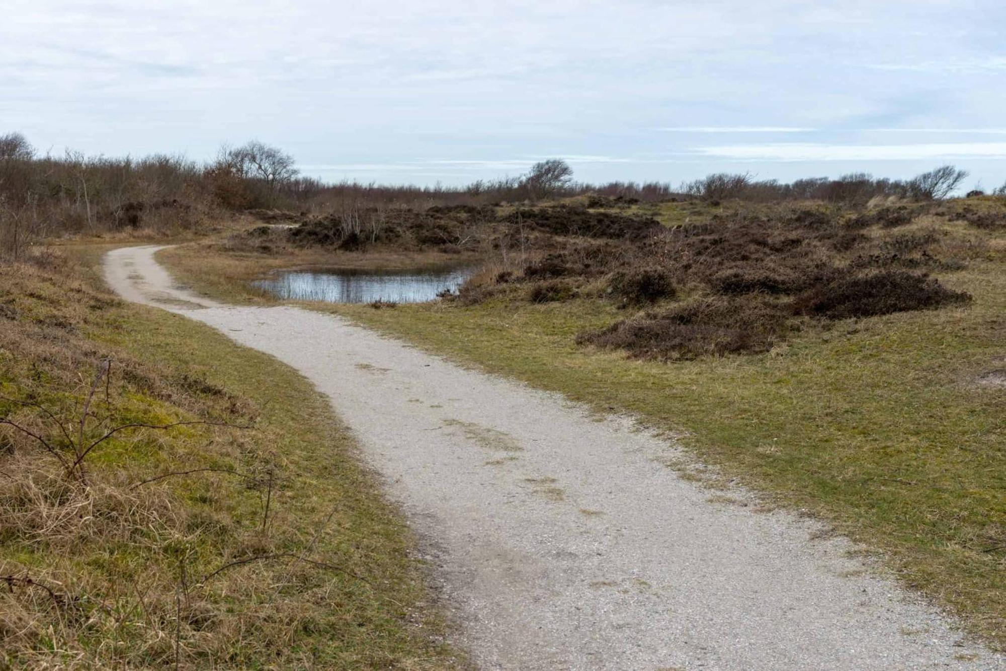 Vakantiehuisje Bloem 4 Personen Stolpen Exterior foto