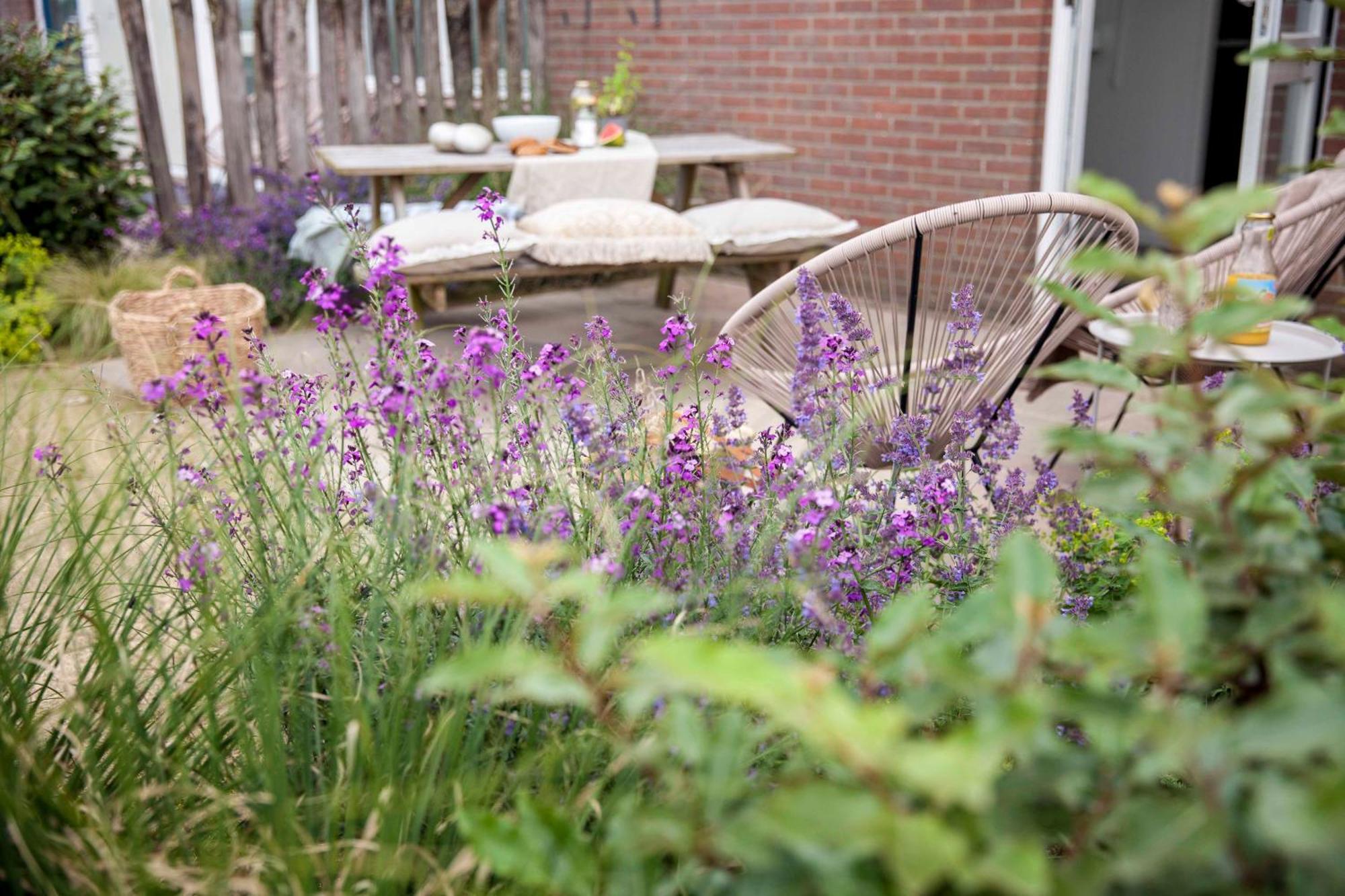 Vakantiehuisje Bloem 4 Personen Stolpen Exterior foto
