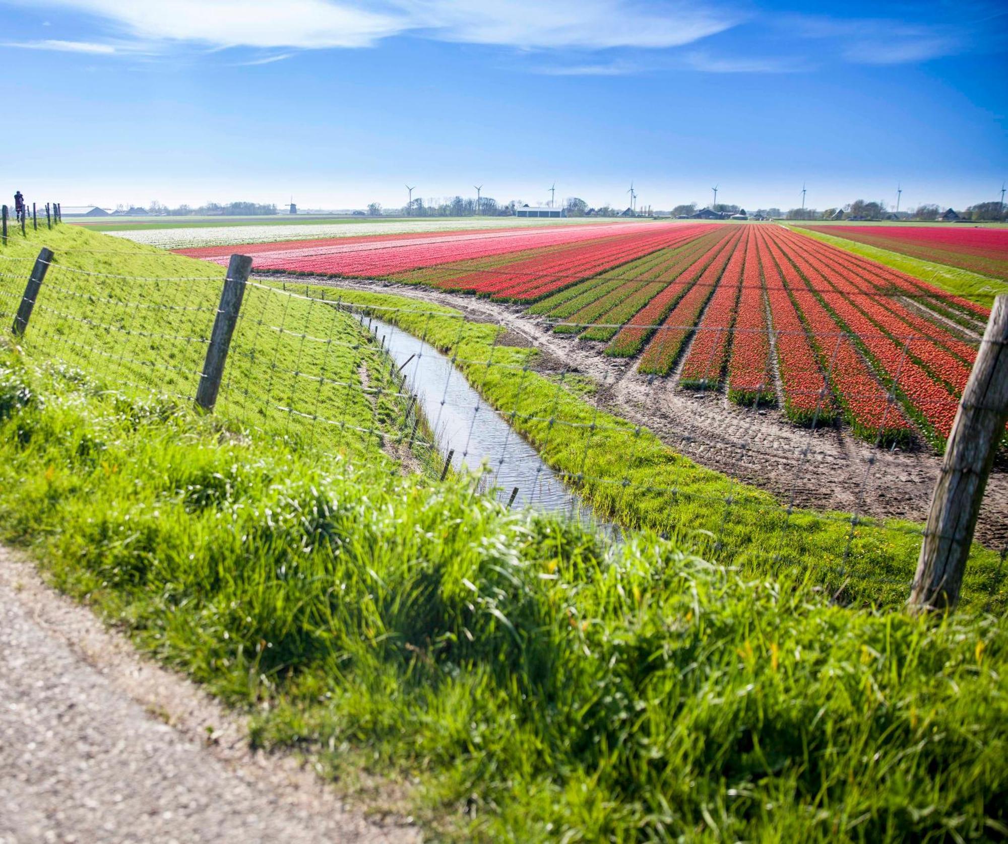 Vakantiehuisje Bloem 4 Personen Stolpen Exterior foto